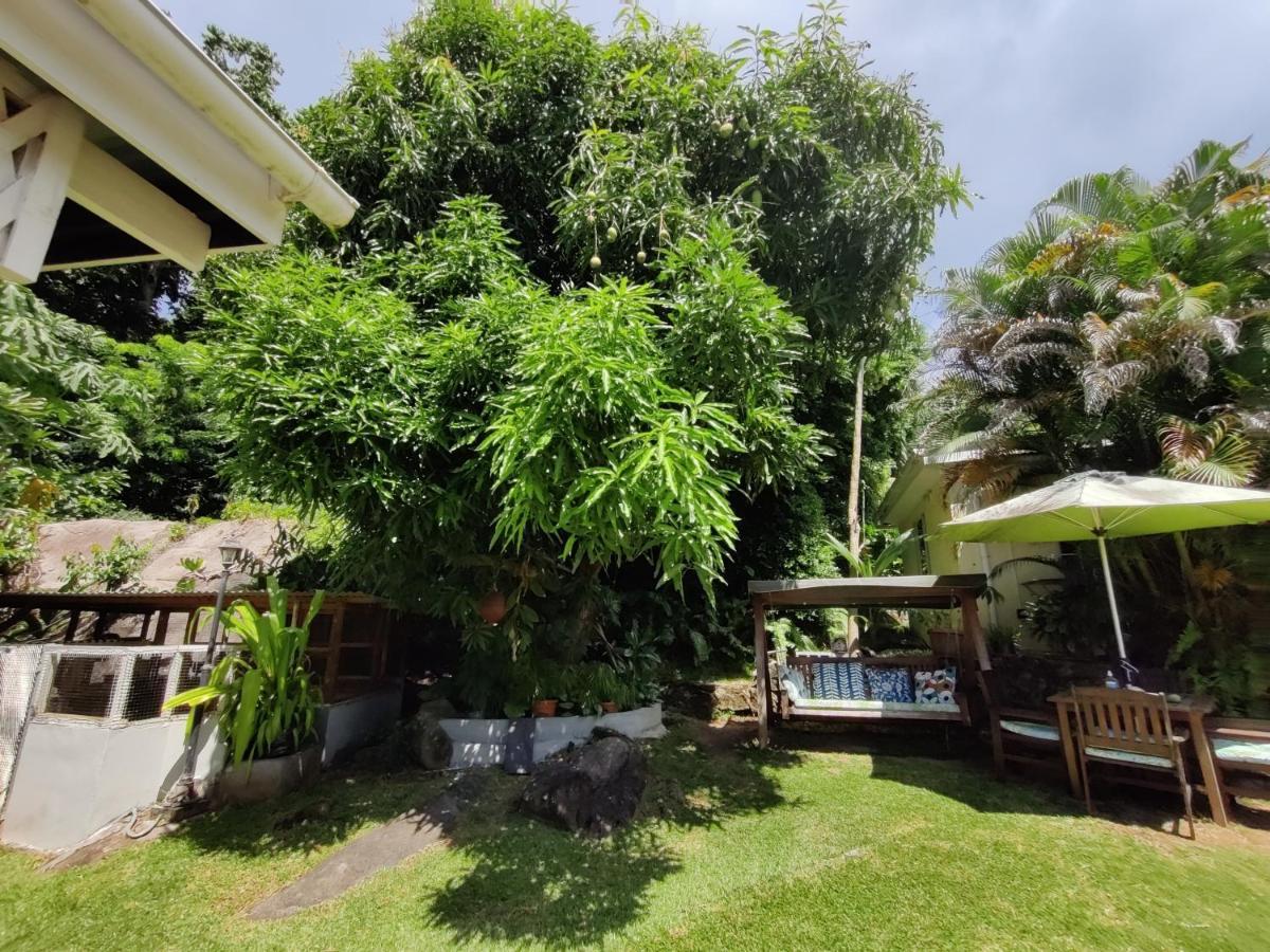 Apartament The Reef Palm Anse aux Pins Zewnętrze zdjęcie