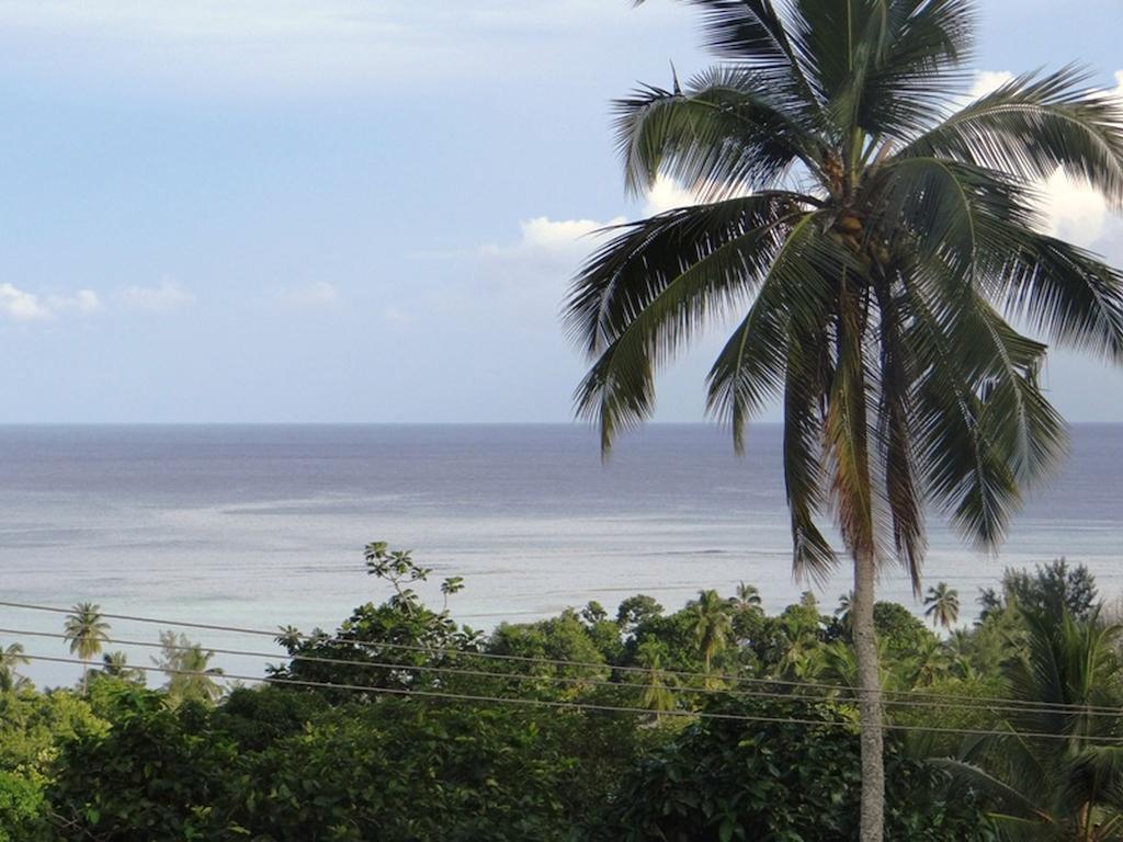 Apartament The Reef Palm Anse aux Pins Zewnętrze zdjęcie