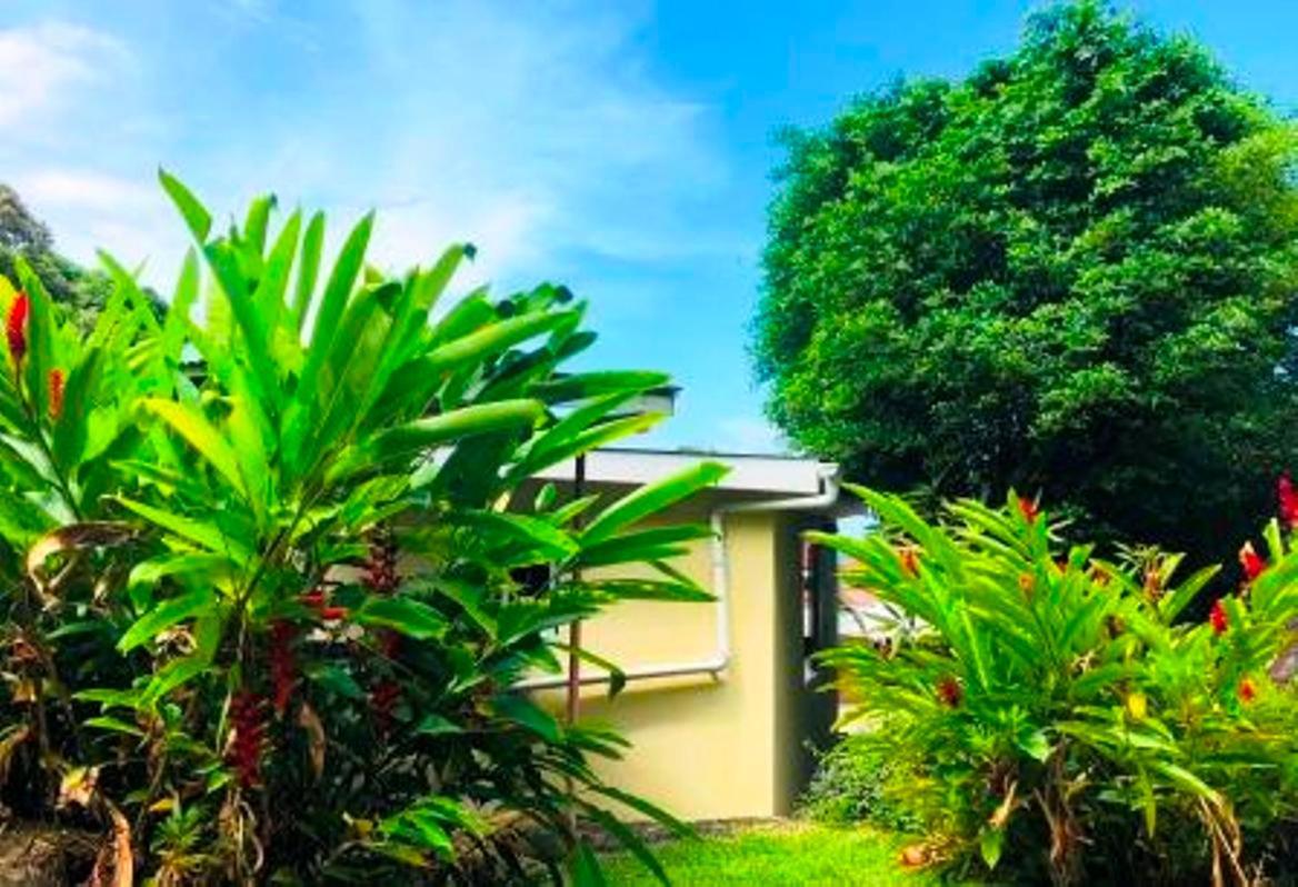 Apartament The Reef Palm Anse aux Pins Zewnętrze zdjęcie
