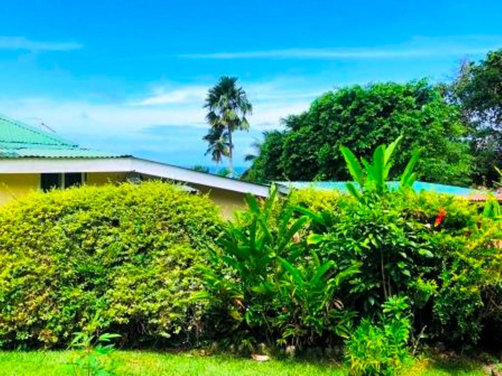 Apartament The Reef Palm Anse aux Pins Zewnętrze zdjęcie