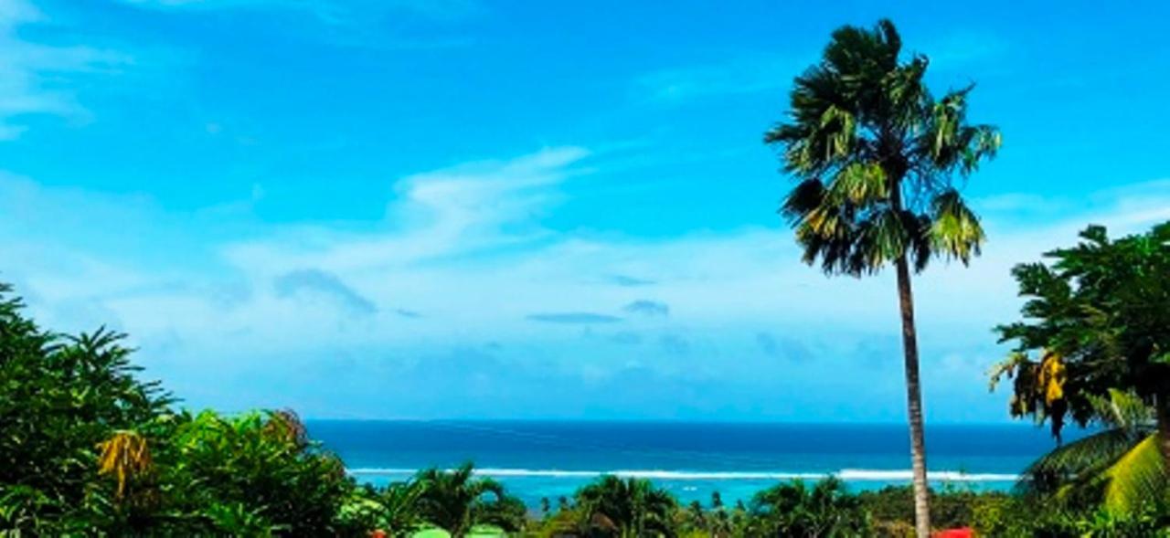 Apartament The Reef Palm Anse aux Pins Zewnętrze zdjęcie